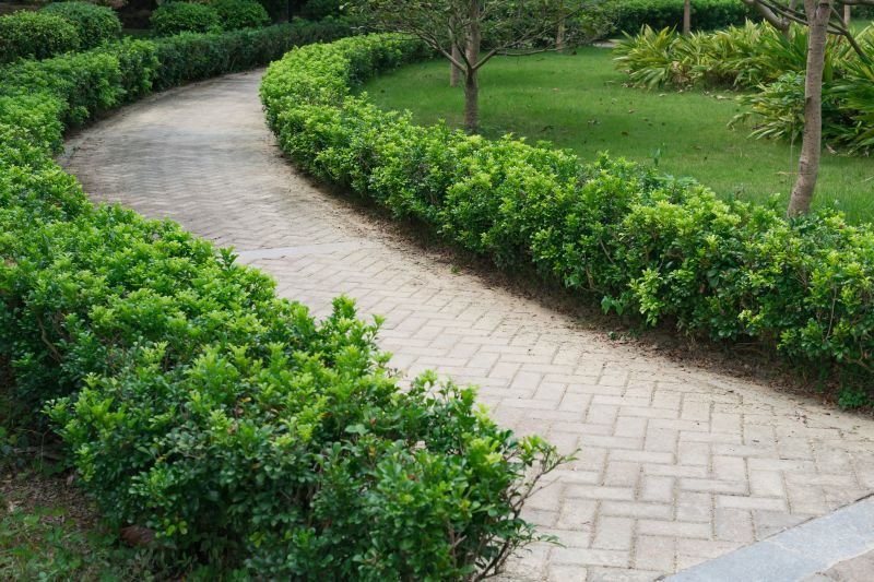 Outdoor Pavers Design
