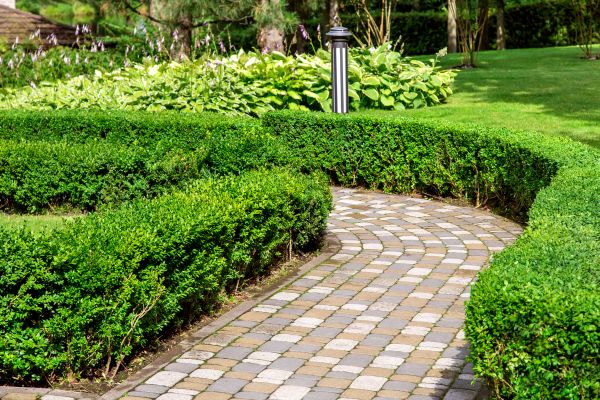 Paved Landscaping in Costa Mesa