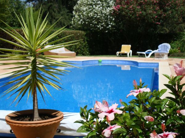 Pool Terrace Renovation in Costa Mesa